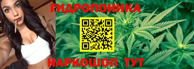крисы Балашиха