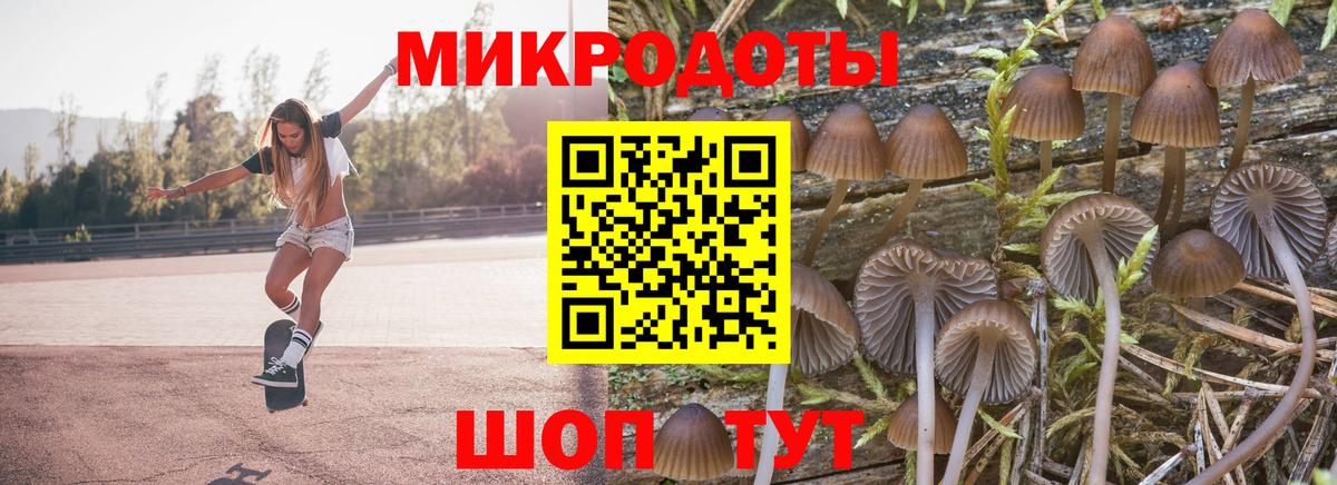 Псилоцибиновые грибы мухоморы Дмитров